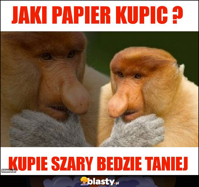 Jaki papier kupic ?