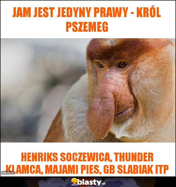 jam jest jedyny prawy - Król pszemeg