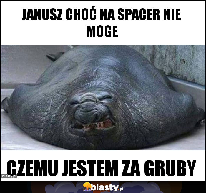 Janusz choć na Spacer nie moge