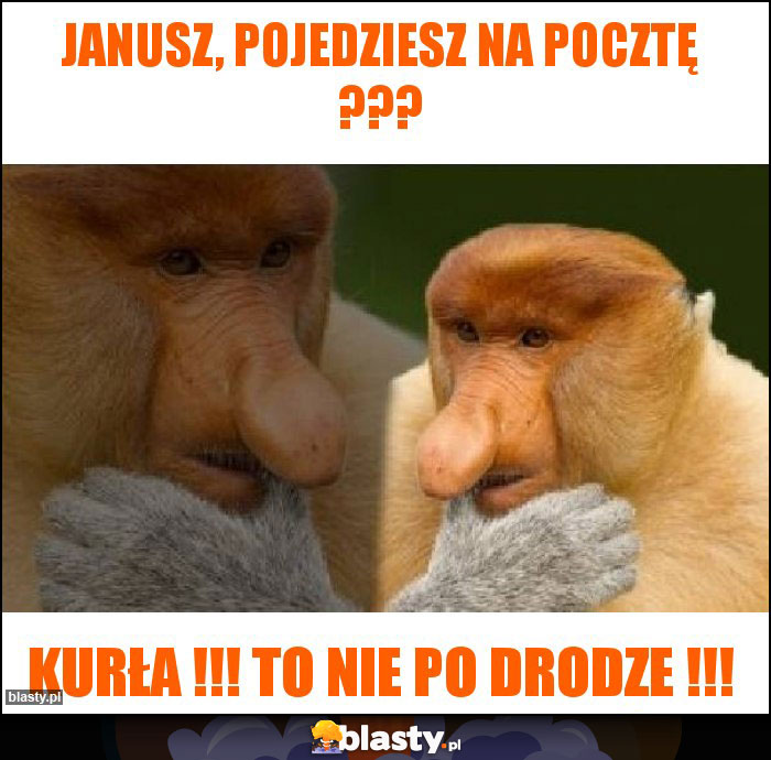 JANUSZ, POJEDZIESZ NA POCZTĘ ???