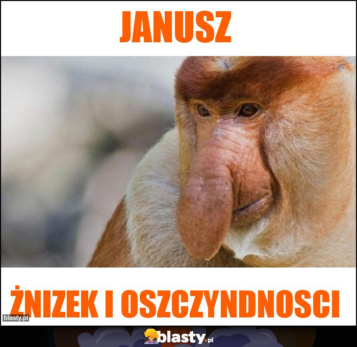 Janusz