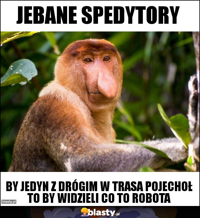 Jebane spedytory