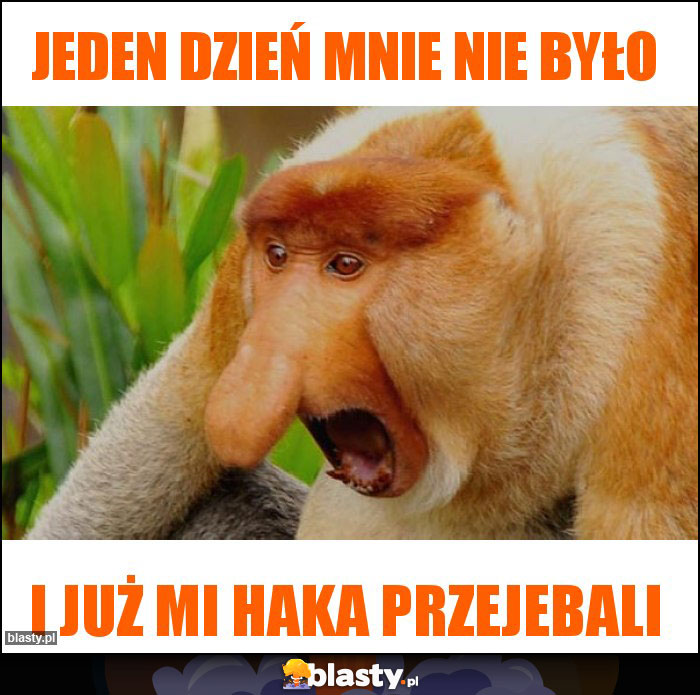 Jeden dzień mnie nie było