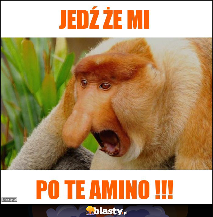 Jedź że mi