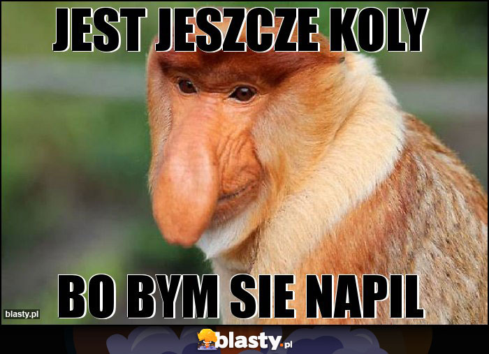 JEST JESZCZE KOLY