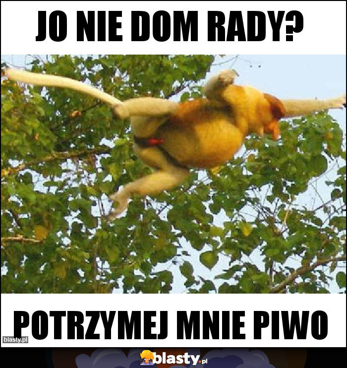 Jo nie dom rady?