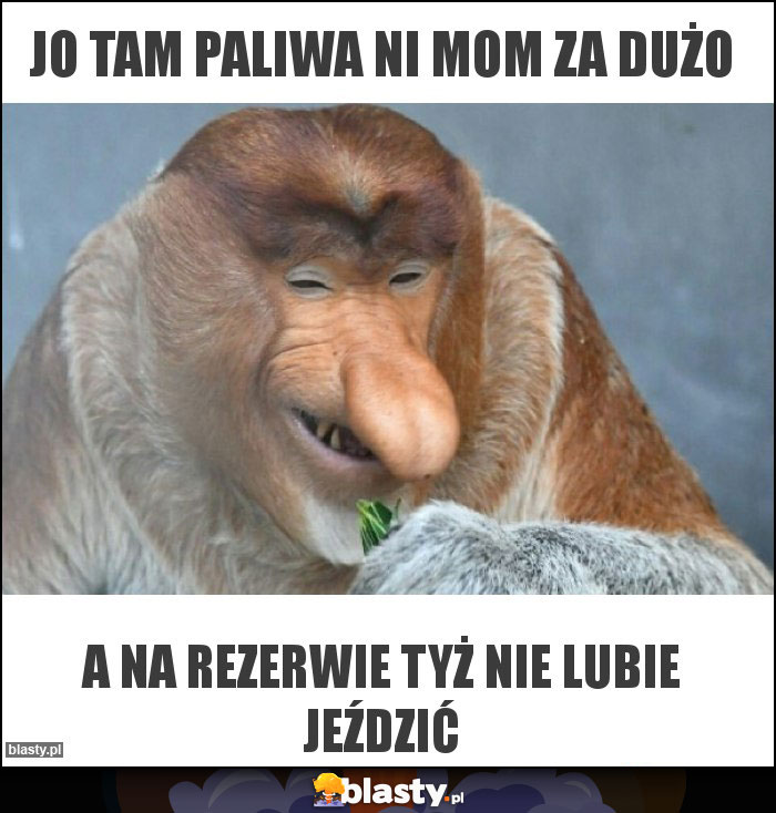 Jo tam paliwa ni mom za dużo