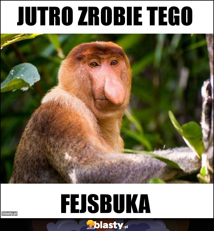 Jutro zrobie tego