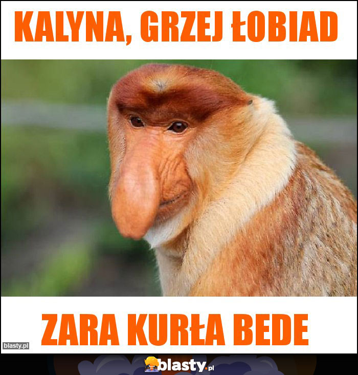 Kalyna, grzej łobiad