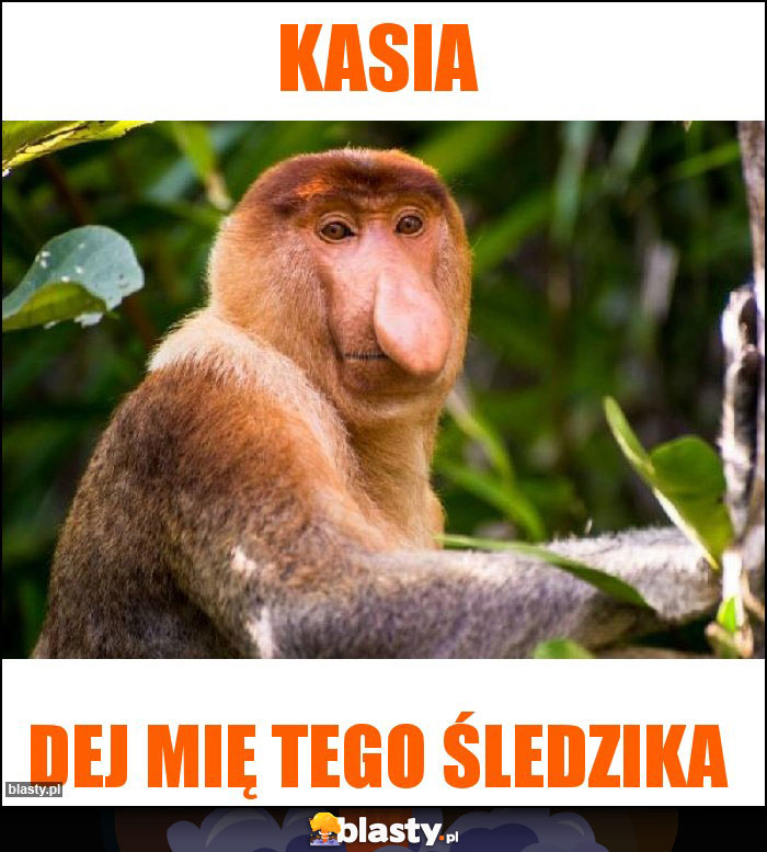 Kasia