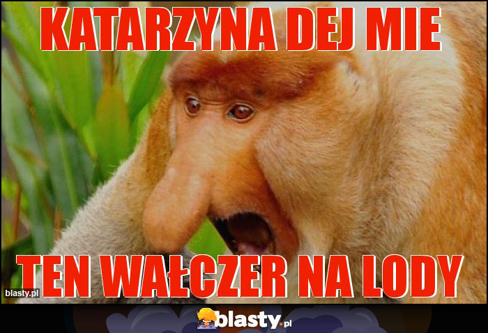 Katarzyna dej mie