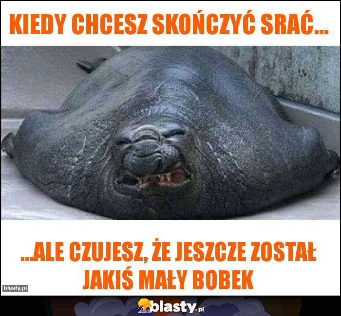 Kiedy chcesz skończyć srać...