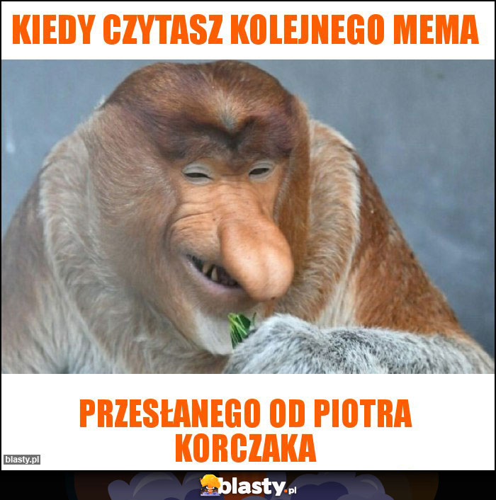 kiedy czytasz kolejnego mema