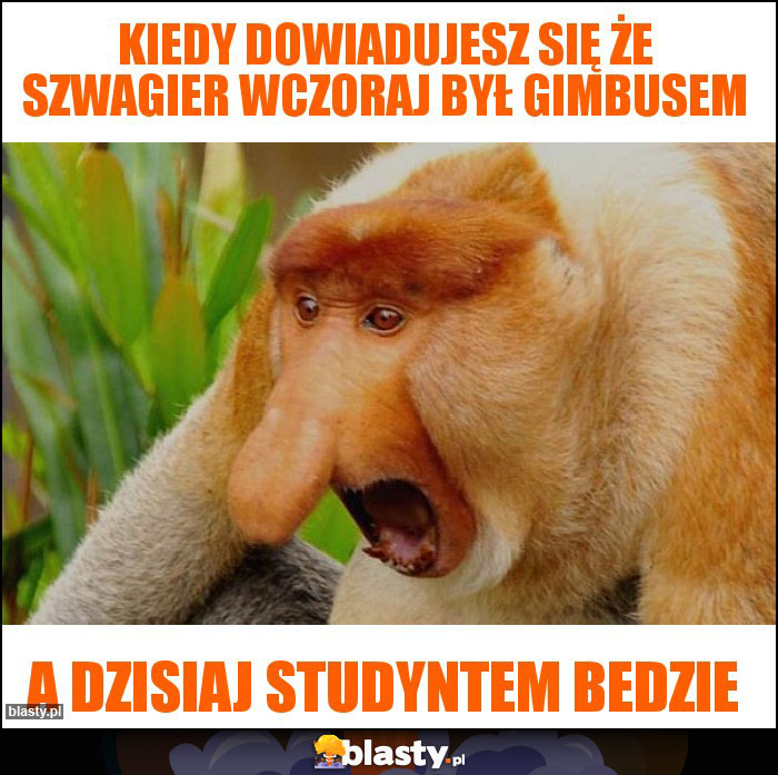 Kiedy dowiadujesz się że szwagier wczoraj był gimbusem