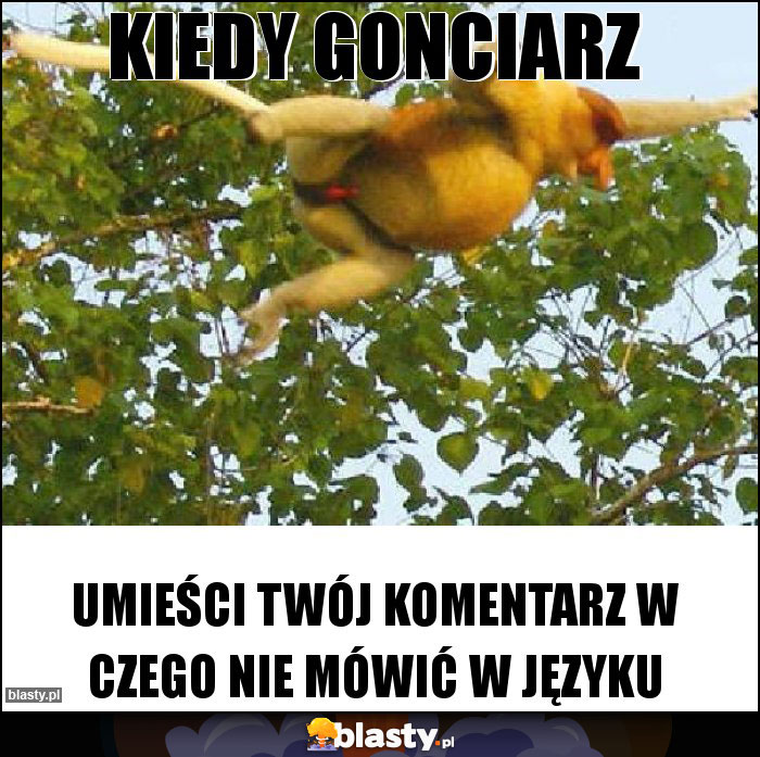 Kiedy gonciarz