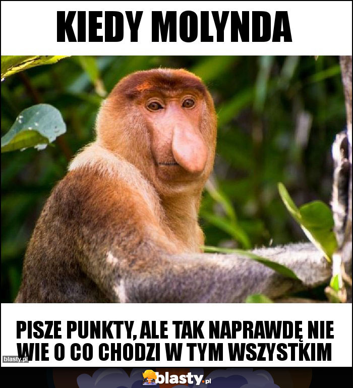 Kiedy molynda