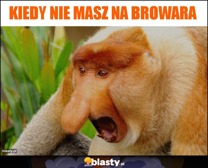 kiedy nie masz na browara