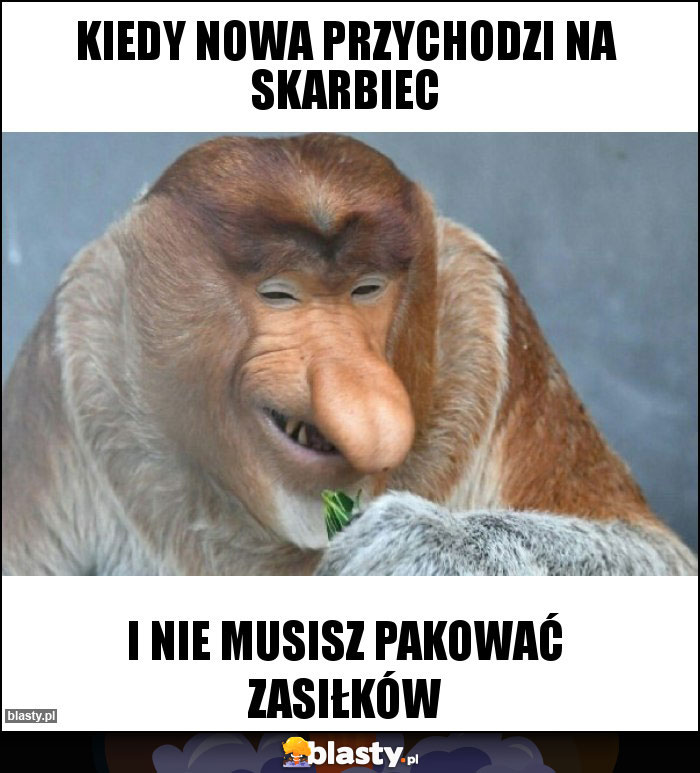 KIEDY NOWA PRZYCHODZI NA SKARBIEC