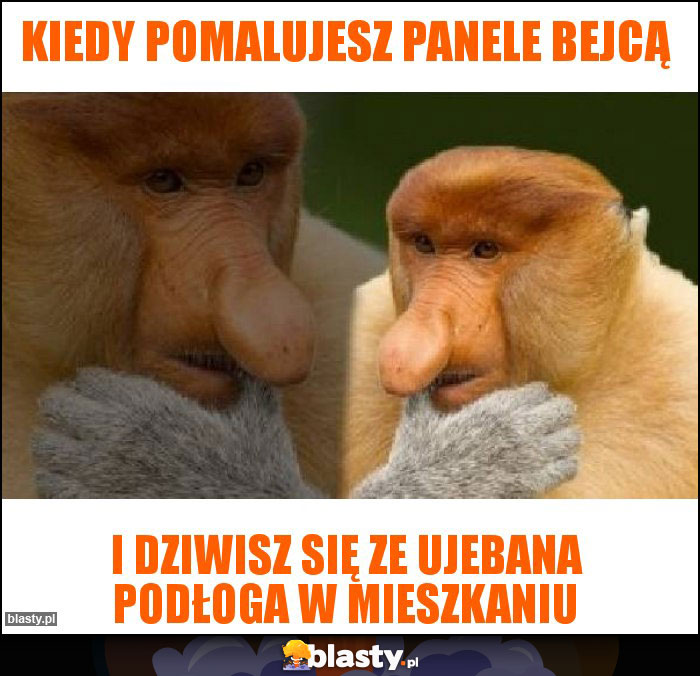 Kiedy pomalujesz Panele Bejcą