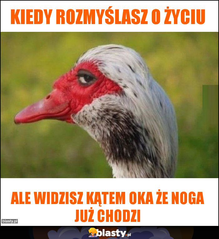 Kiedy rozmyślasz o życiu