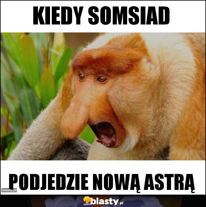 Kiedy somsiad