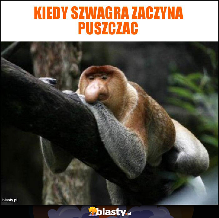 Kiedy Szwagra zaczyna puszczac