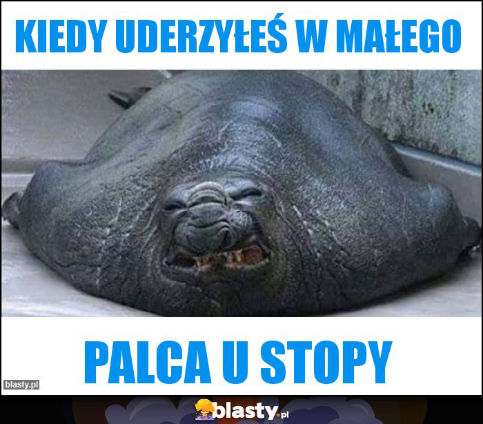 Kiedy uderzyłeś w małego