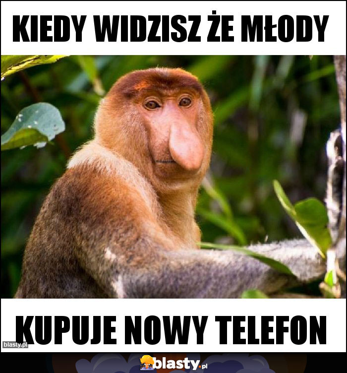 Kiedy widzisz że młody