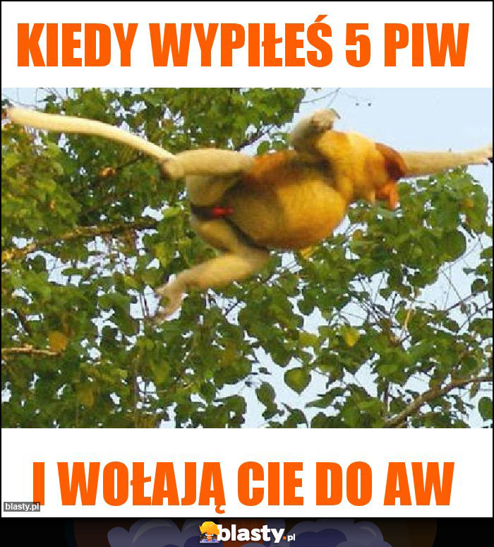 Kiedy wypiłeś 5 piw