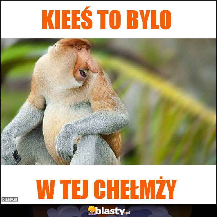 Kieeś to bylo