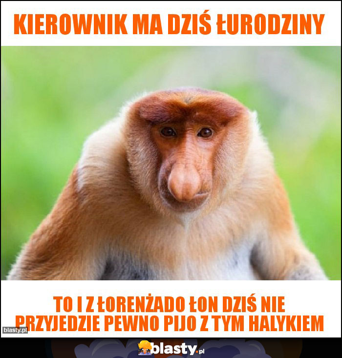 Kierownik ma dziś łurodziny