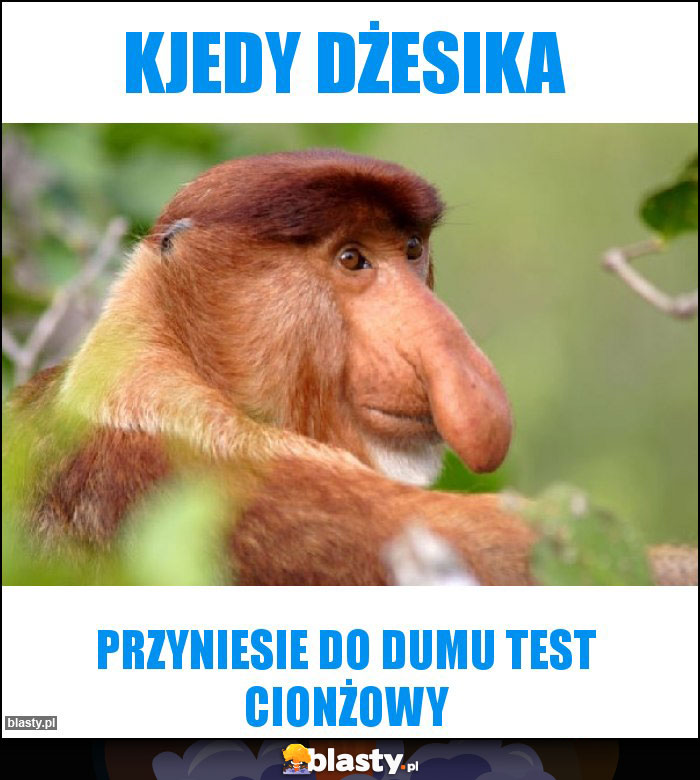 kjedy dżesika