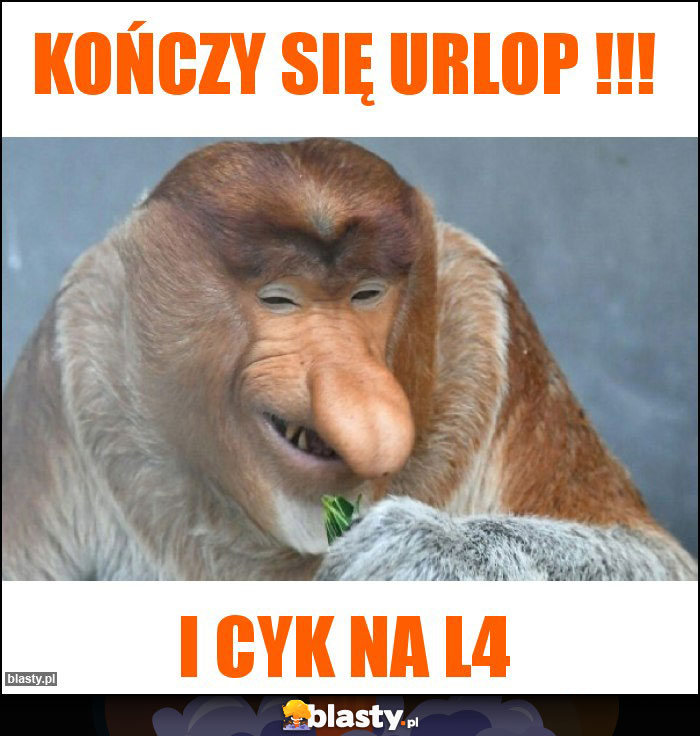 Kończy się urlop !!!