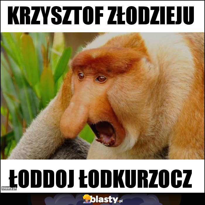 Krzysztof złodzieju