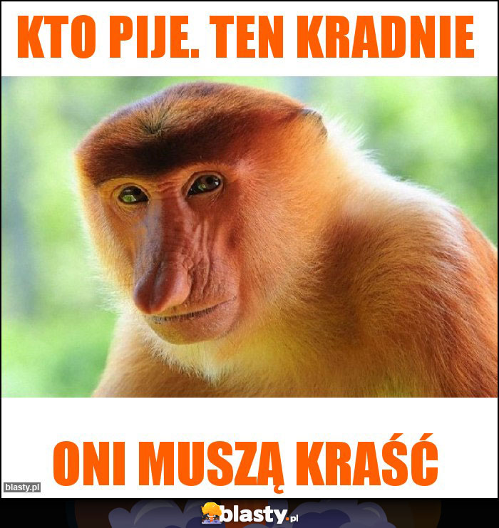 Kto pije. Ten kradnie