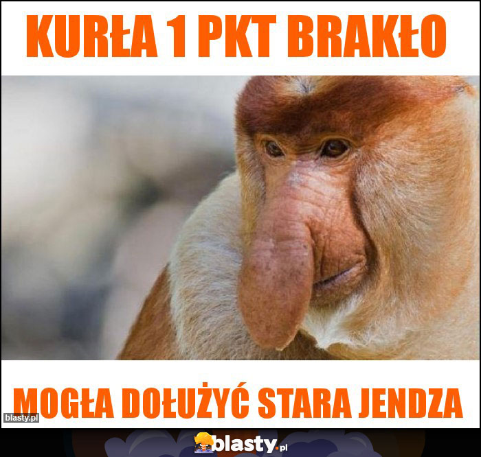 kurła 1 pkt brakło