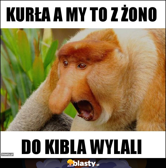 Kurła a my to z żono