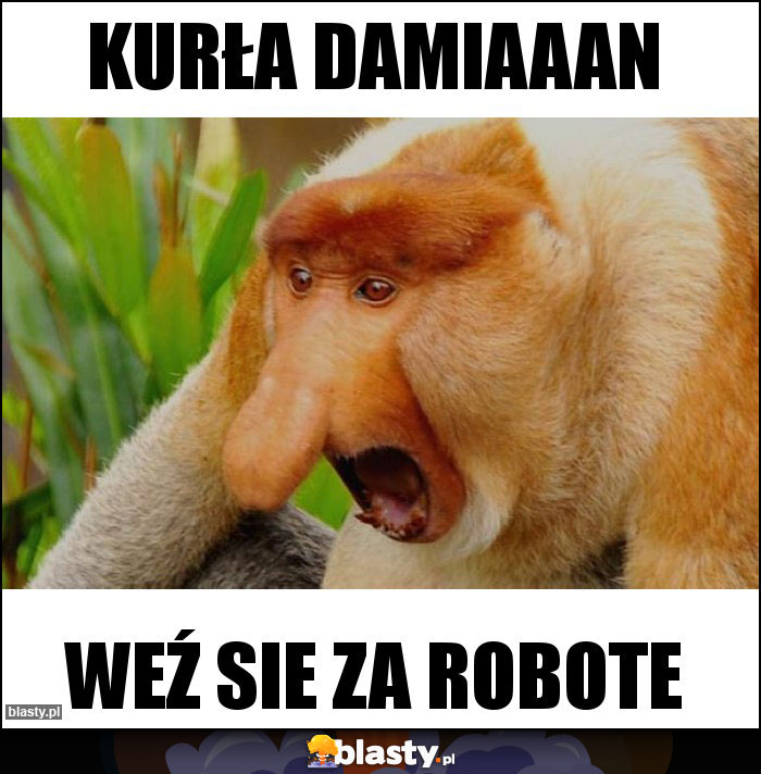 KURŁA DAMIAAAN