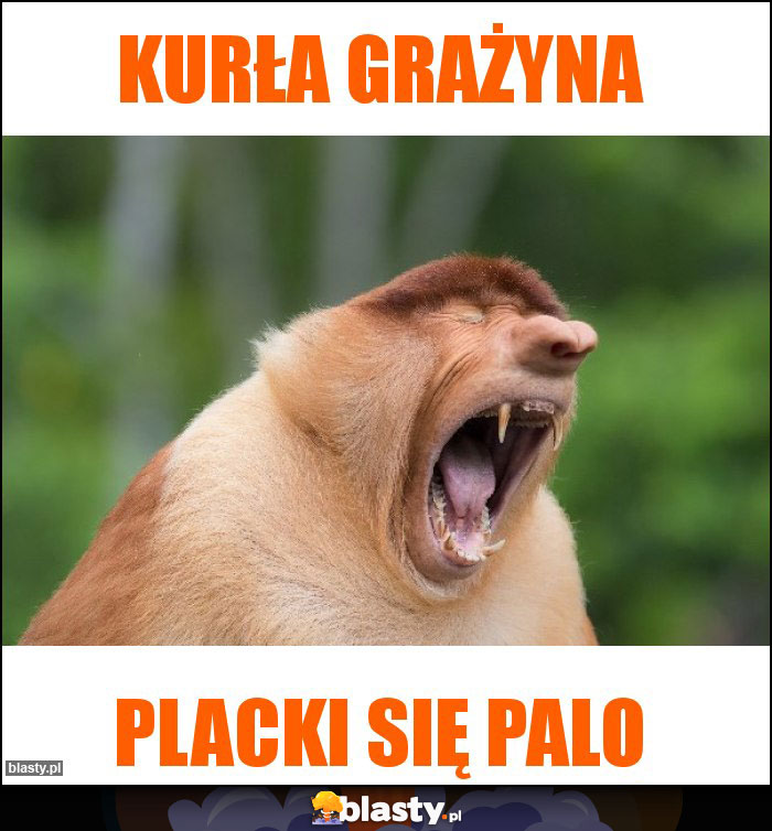 Kurła Grażyna