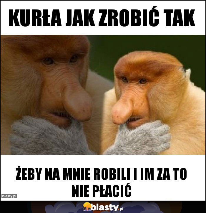 kurła jak zrobić tak