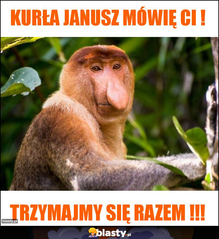 KURŁA JANUSZ MÓWIĘ CI !