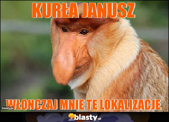 Kurła Janusz