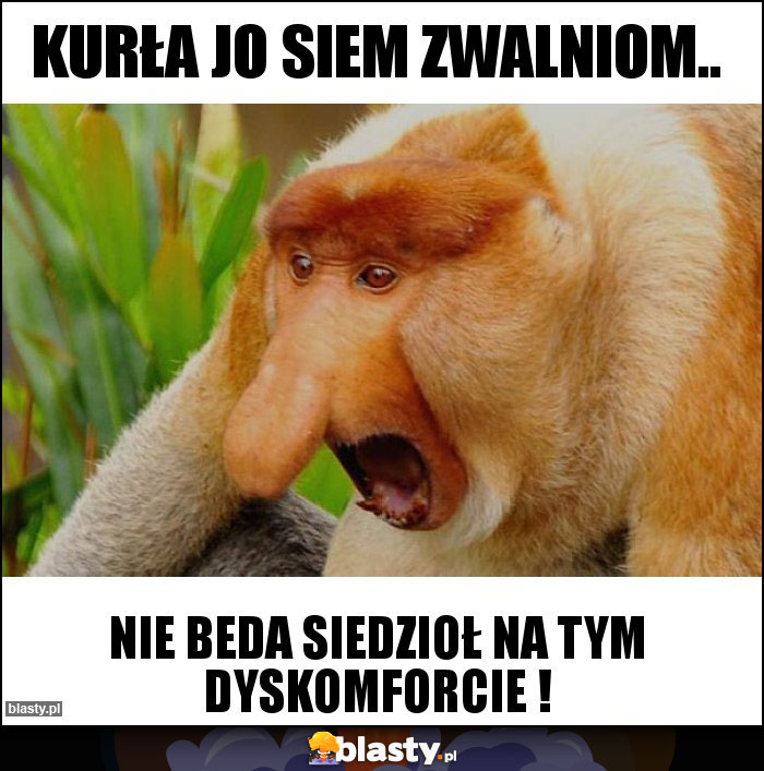 Kurła jo siem zwalniom..