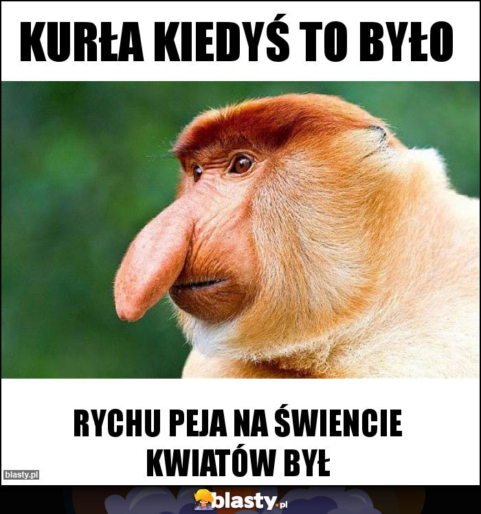 Kurła kiedyś to było