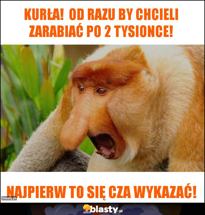 KURŁA!  OD RAZU BY CHCIELI ZARABIAĆ PO 2 TYSIONCE!