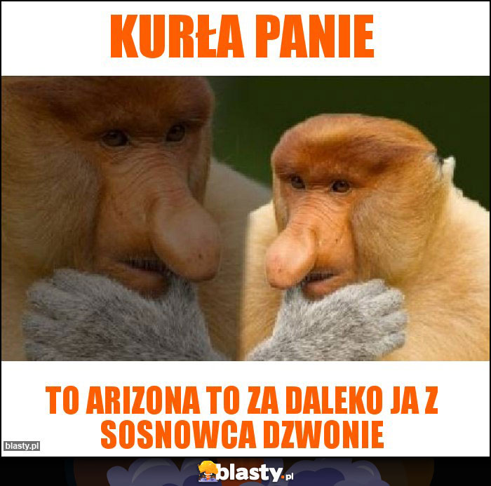 Kurła Panie