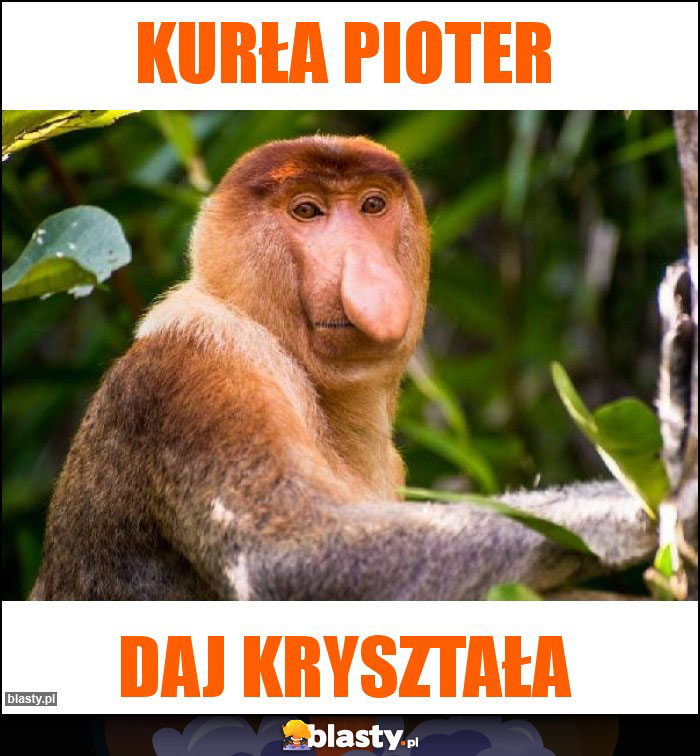 Kurła Pioter