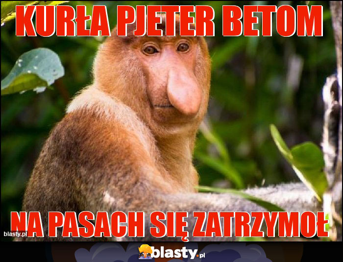 Kurła pjeter betom