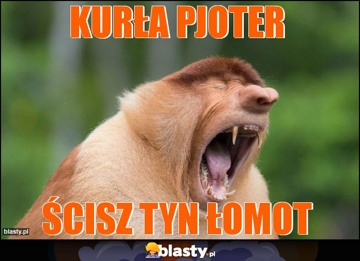 Kurła Pjoter