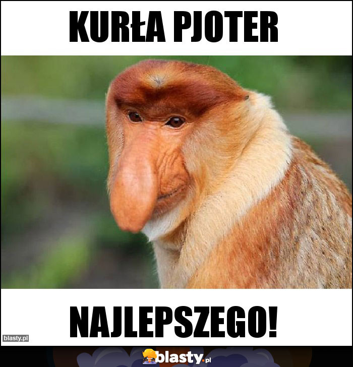 Kurła Pjoter